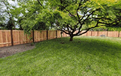 Fair Special Savings: Your Hassle-Free Home Evaluation at 50% Off