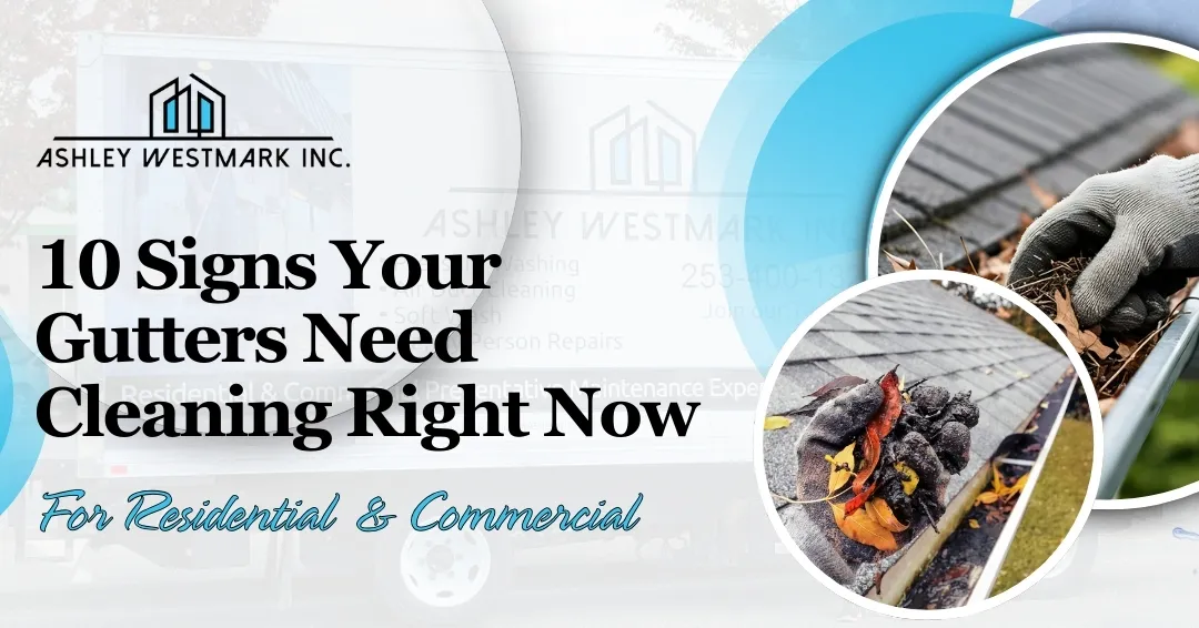 10 Signs Your Gutters Need Cleaning Right Now