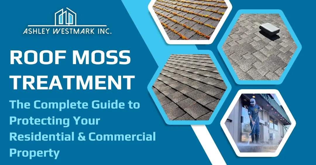 Roof Moss Treatment: The Complete Guide to Protecting Your Residential and Commercial Property
