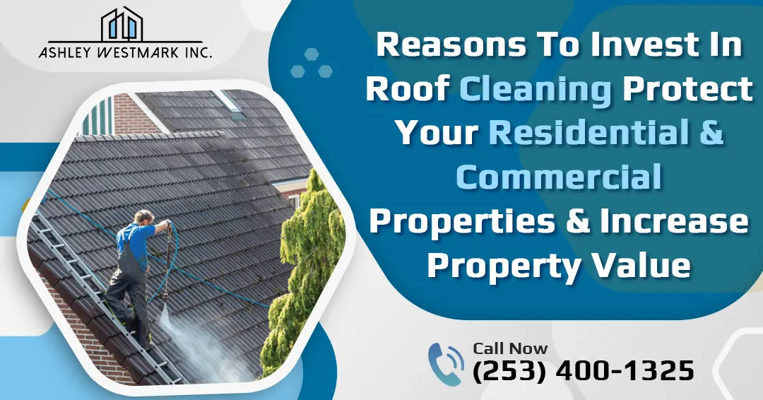 Reasons to Invest in Roof Cleaning: Protect Your Residential and Commercial Properties and Increase Property Value